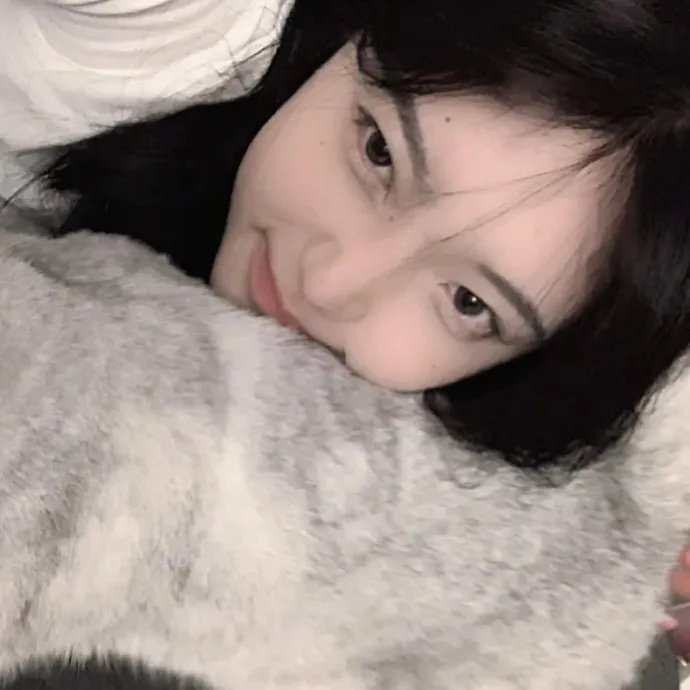 终结杉计划