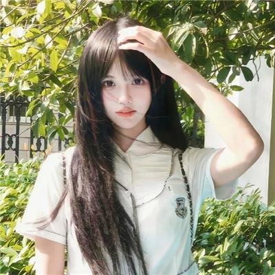 锦囊妙录